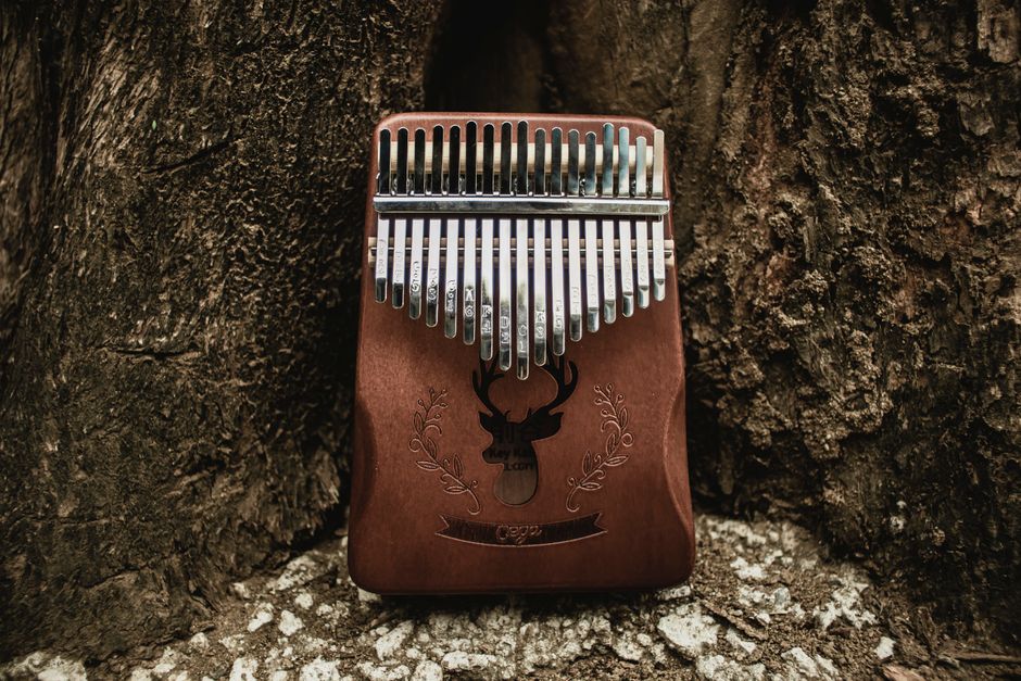A detailed view of a wooden thumb piano leaning against rustic tree bark.
